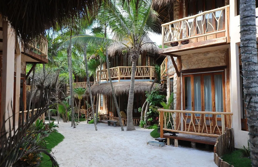 Alaya Beachfront Tulum Hotel-1