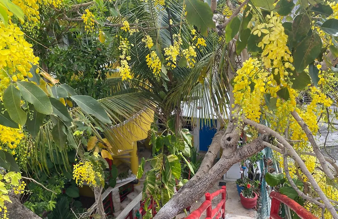 Maison Tulum-1